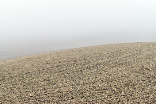 Landscape of a sown field in winter with fog