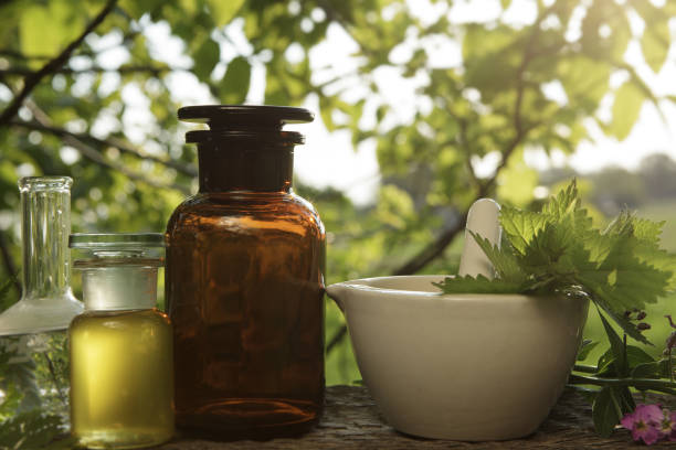 야외에서 약초 준비 - alternative medicine mortar and pestle herbal medicine herb 뉴스 사진 이미지
