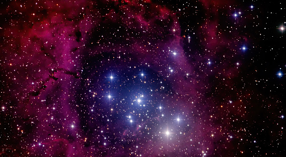 NGC 2244, known as Caldwell 50, is an open cluster in the Rosette Nebula. Image was shot using a remote telescope service.