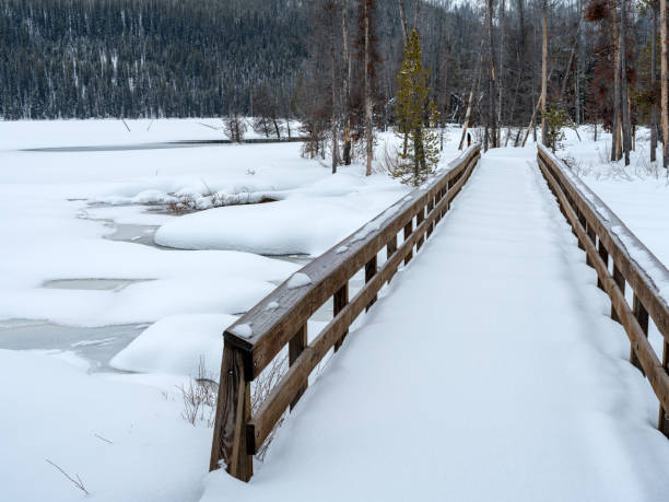 istock Foot bridge covered with winter snow along a lake 2020629266