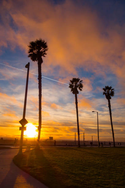 istock Sunset on Santa Monica Bike Path 2020631402