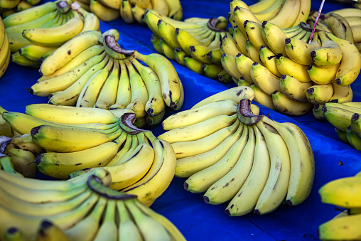 Selective focus, background of green bananas in the garden