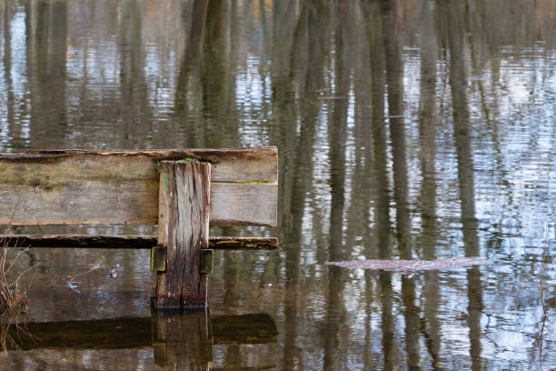 istock Part of a bench half submerged by melting ice water in forest 2020674652