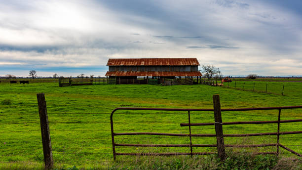 istock Barn on a cloudy day in Sacramento County California 2020690100