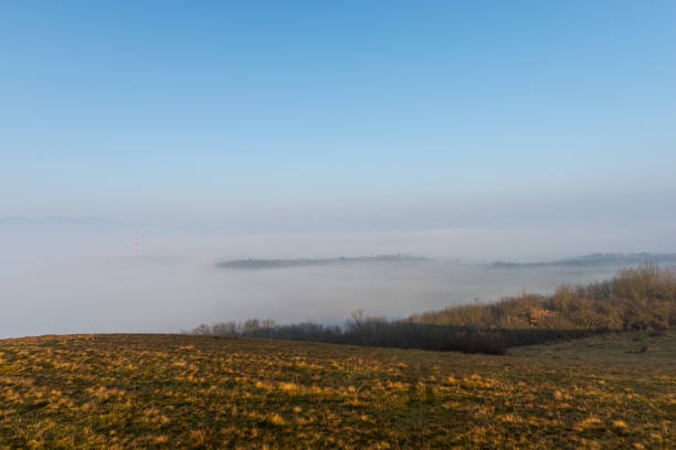 Fog on the hill