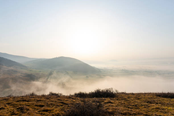 Fog on the hill