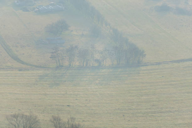 Fog on the hill