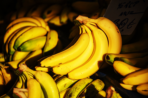 Bunch of ripe and raw bananas hanging for sale at market stall