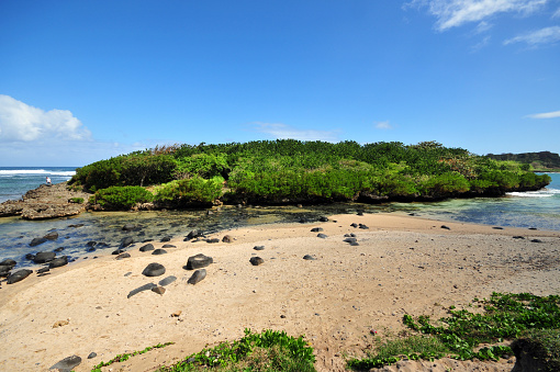 Baie-de-Jacotet, Rivière Des Galets, Savanne (Savannah) district, Mauritius: Ilot Sancho, a rock outcrop covered in dense vegetation, separated from the mainland by a tidal channel, becomes a peninsula in the low tide - location of legendary pirates' treasures.