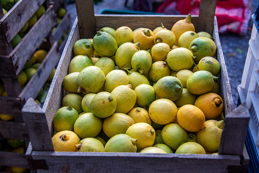 Lemons in crates at the market