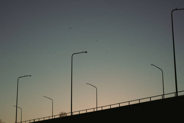 Street lighting on a bridge after sunset