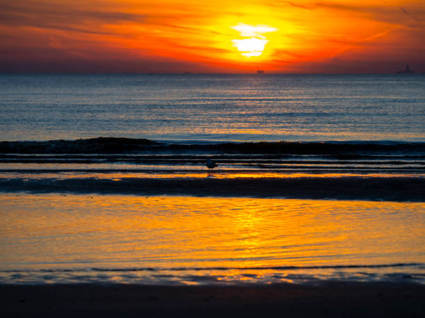 istock Sunset at the North Sea 2020739938