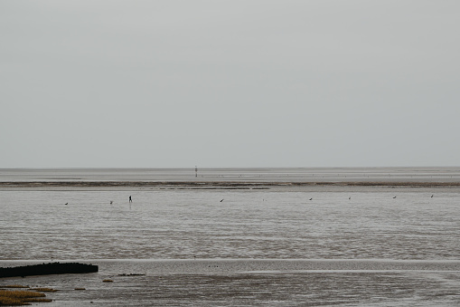 Panoramic view of the Wadden Sea at low tide and foggy weather