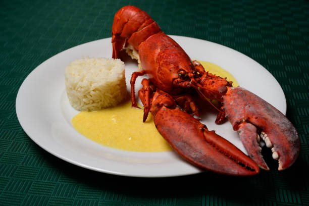 istock Lobster Newberg with Sherry or Cognac Cream Sauce and Rice 2020788405
