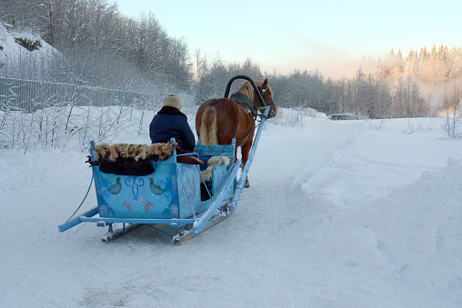 A horse team with a beautiful sleigh and a coachman in a sheepskin coat. A Horse Drawn Sleigh Ride Through The Snow. A horse pulled by a sleigh to transport passengers.