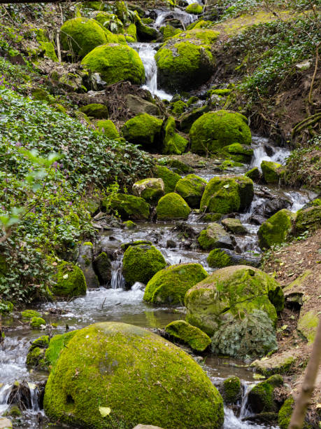 istock Landscape in the spring season 2020792954