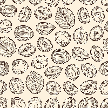 Vector hazelnut hand-drawn seamless pattern or background. Hazelnut kernels and shells