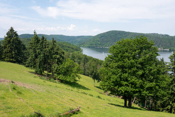 istock Green landscape with a lake 2020858321