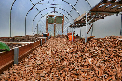 Polytunnel being cleaned out and prepared ready for Spring planting