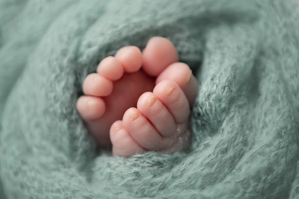 istock Close-up of newborn baby's wrapped feet 2020861032