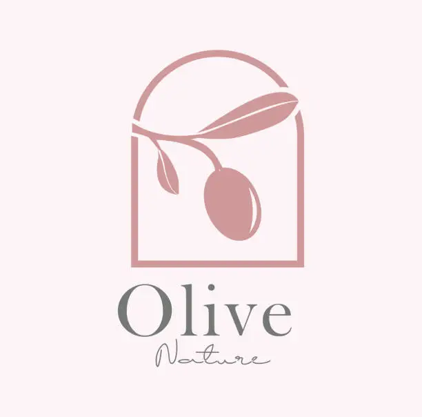 Vector illustration of olive oil leaf design vector icon symbol illustration