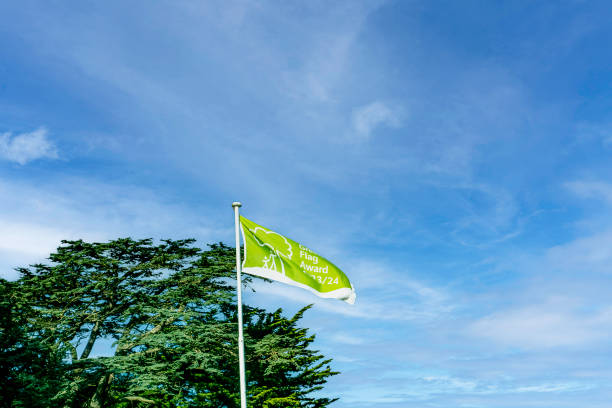 wywieszenie zielonej flagi za zarządzanie terenami zielonymi - clondalkin zdjęcia i obrazy z banku zdjęć