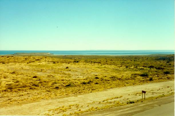 istock Semi-desert plain next to the Atlantic Sea 2020898260
