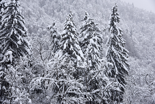 Landscape in the swiss mountains after several days heavy snowing. Captured in the canton of Glarus during winter season.