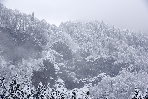 Panorama of the winter morning in the mountains