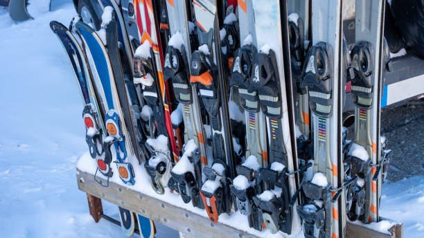 Rows of skis on the snow, close-up. Winter extreme, active pastime