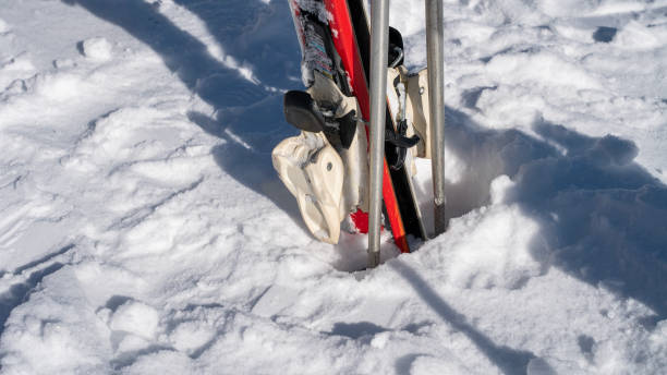 istock Rows of skis on the ski slope 2020966328