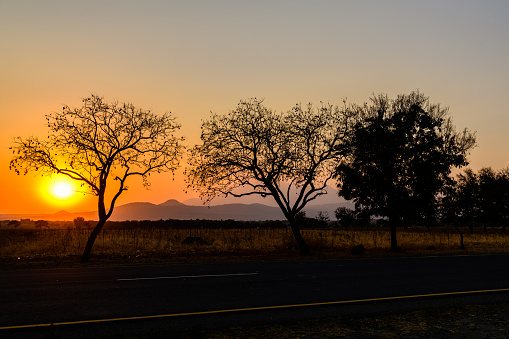 Landscape at Arusha national park at sunset, Tanzania