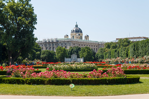 The Volksgarten blooming garden next to the Natural History Museum in  Vienna, Austria