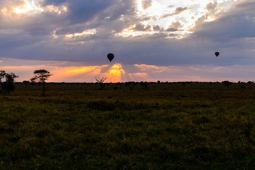 Hot air balloon over the plains of Serengeti National Park at sunrise, Tanzania