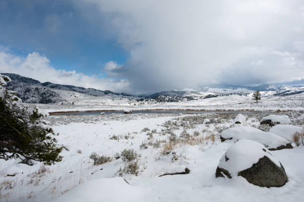 Yellowstone National Park in Winter - fotografia de stock