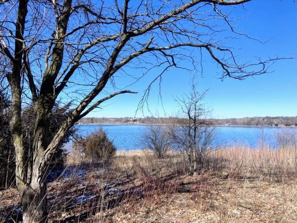 lago zorinsky a omaha, nebraska - nebraska landscape midwest usa landscaped foto e immagini stock