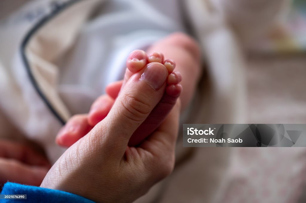 Baby Foot Size In Compared With His Mother Toe Stock Photo Download baby-foot-size-in-compared-with-his-mother-toe-stock-photo-download