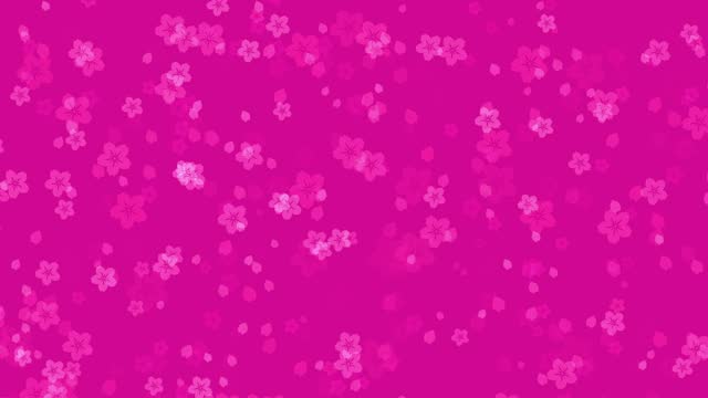 Abstract sakura flowers on vivid pink background