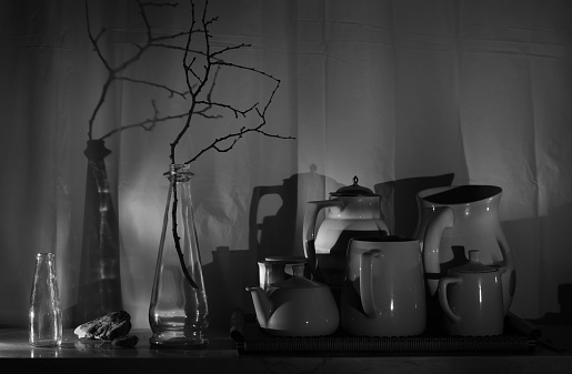 vintage crockery and a vase with a branch,zen like still life, black and white.