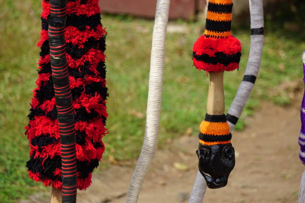 chicote colorido (pecut samandiman). pecut samandiman é uma arte de ponorogo, java oriental, indonésia - horsewhip - fotografias e filmes do acervo