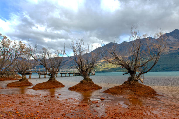 Trees - Glenorchy Waterfront Reserve, Queenstown, Otago