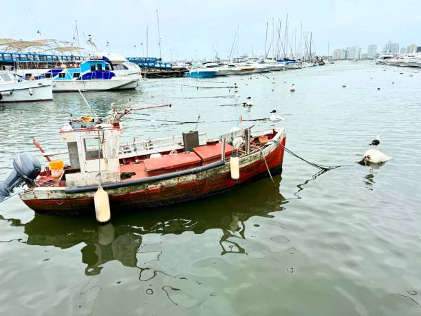 istock Red Boat in Marina 2021146769