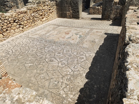 Volubilis is a partly-excavated Berber-Roman city in Morocco situated near the city of Meknes.