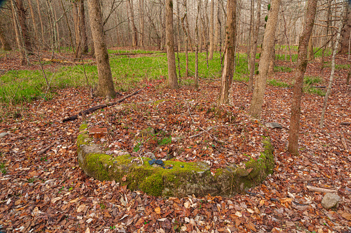 Old Sugarlands Trail, CCC Camp Area