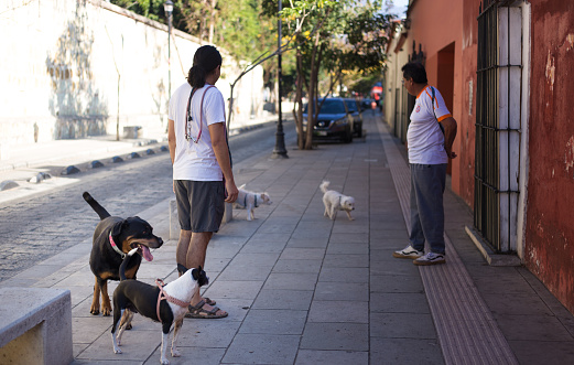 Oaxaca, Mexico: Two men chat on a sidewalk while their four unleashed dogs wait in downtown Oaxaca.