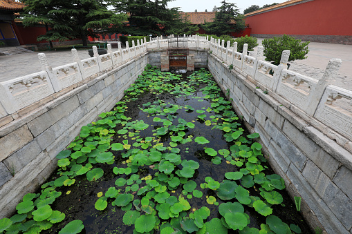 Green lotus leaves are beside the ancient stone bridge, Beijing