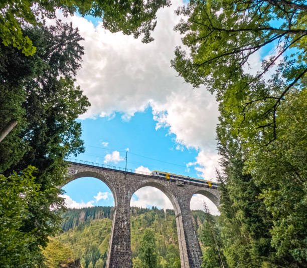 le pont de ravenne dans la forêt-noire en allemagne - ancient forest arch architecture photos et images de collection
