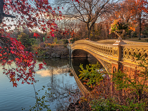 Bow bridge, Central Park, New York City in late autumn, early morning