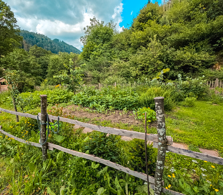Rustic Fence in the foreground of view, which encloses a beautiful garden in the Summer. Tree topped mountains in the background of view. Located in the High Black Forest in Germany.