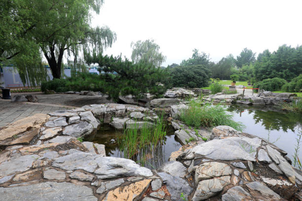 Pond scenery of Beijing Botanical Garden